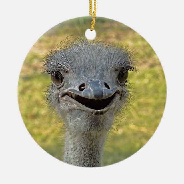 Smiling Ostrich Ornament (Front)