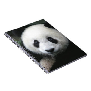 Smiling Panda Bear Spiral Notebook