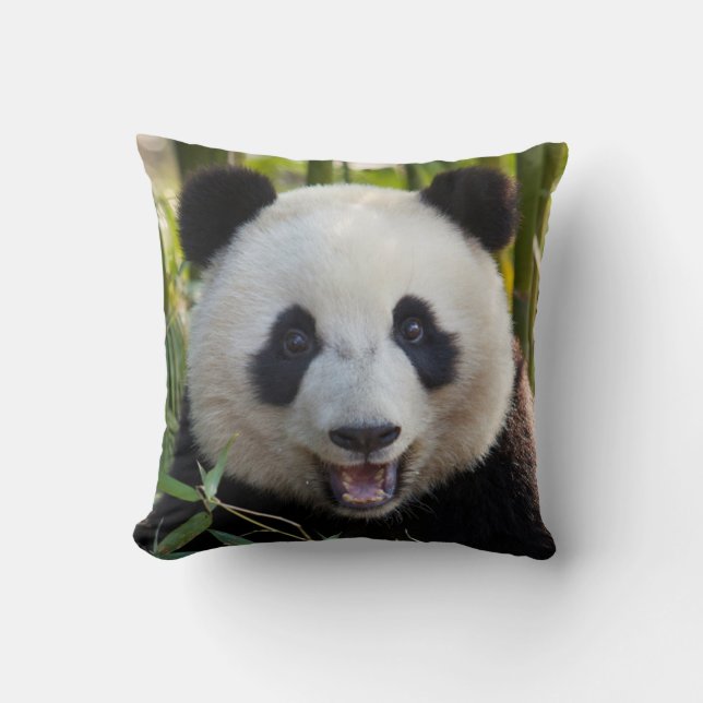 Smiling Panda Portrait Cushion (Front)