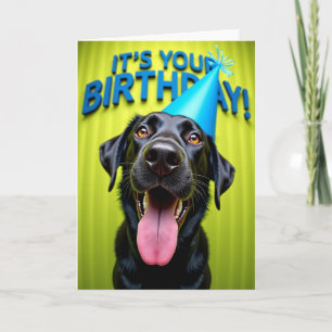 Smiling Pet Birthday Card