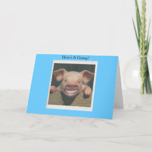 smiling pig how's it going card