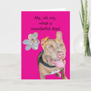 Smiling Pit Bull Birthday Card