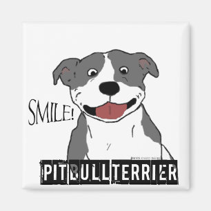 Smiling Pit Bull (Blue and White) Magnet