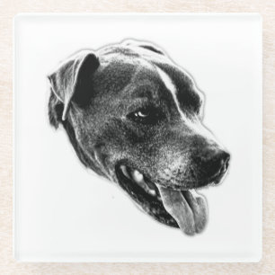 Smiling Pitbull Mix Black and White Art Coaster