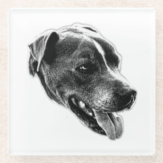 Smiling Pitbull Mix Black and White Art Coaster (Front)