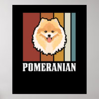 Smiling Pomeranian Retro
