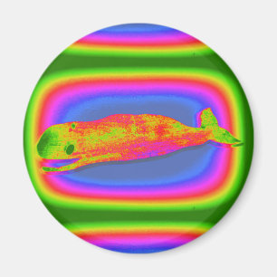 smiling psychedelic whale magnet
