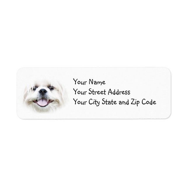 Smiling Shih Tzu (Front)