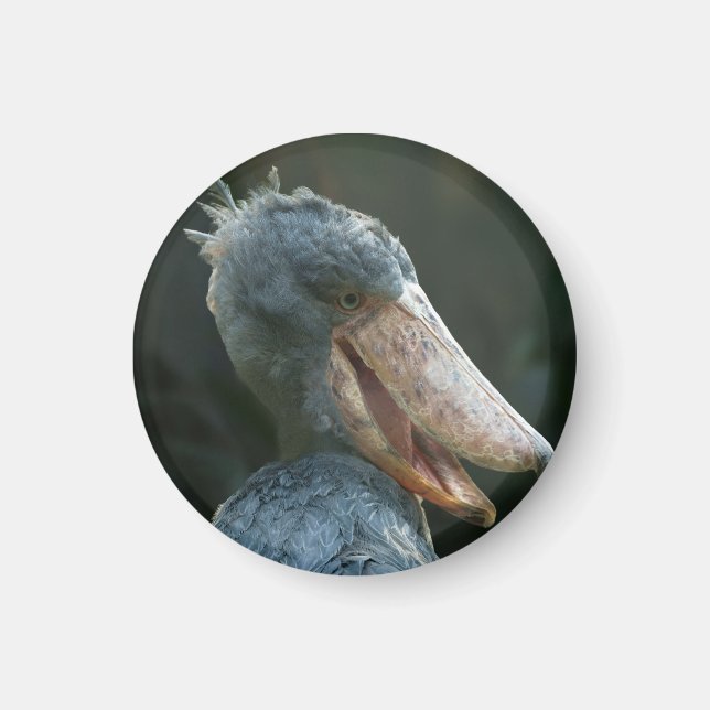 Smiling Shoebill Magnet (Front)
