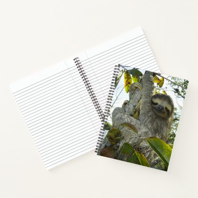 Smiling Sloth 8.5" x 11" Spiral Notebook (Inside)