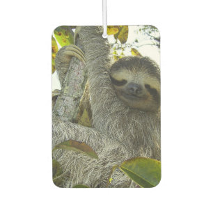 Smiling Sloth Heart Air Freshener, Emerald Sea Car Air Freshener