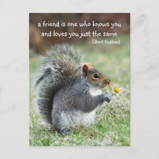 Smiling squirrel Friendship Quote Postcard