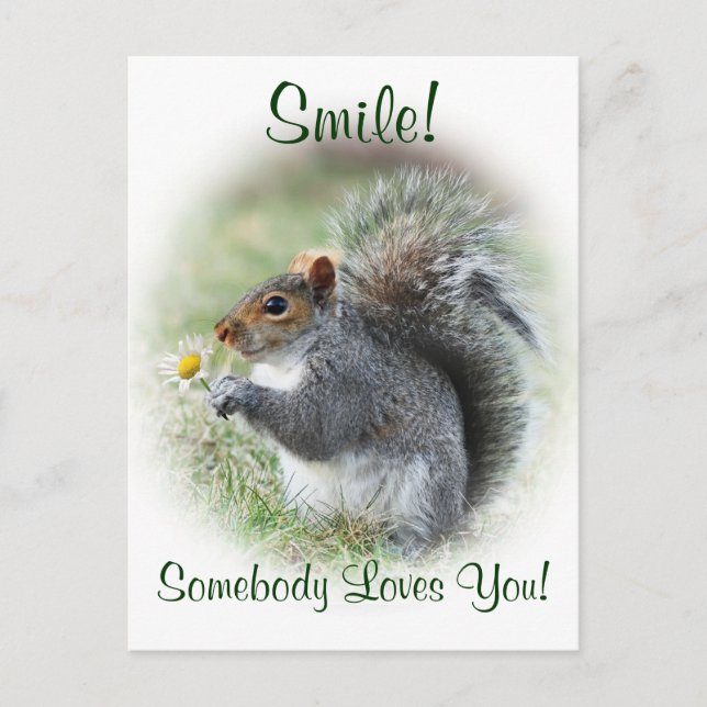 Smiling Squirrel Loves You Postcard (Front)