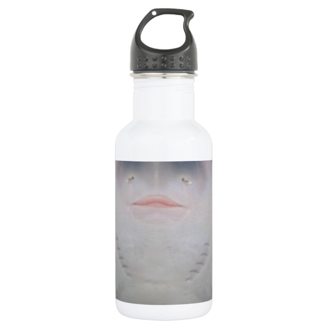 Smiling Sting Ray Swimming in Water 532 Ml Water Bottle (Front)