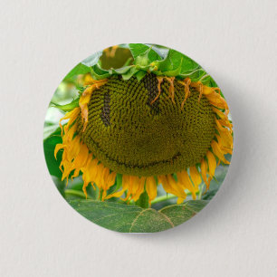 Smiling Sunflower 6 Cm Round Badge
