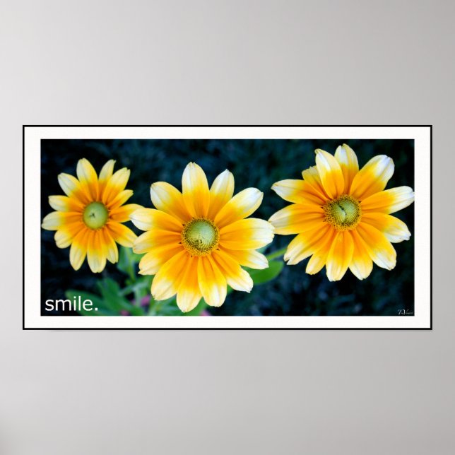 Smiling Sunflowers Poster (Front)