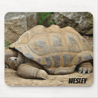 Smiling Tortoise Mouse Pad