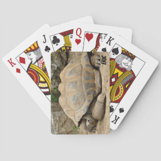 Smiling Tortoise Playing Cards