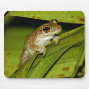 Smiling tree frog Mousepad