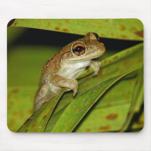 Smiling tree frog Mousepad (Front)