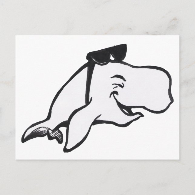 Smiling Whale Colouring Plate Postcard (Front)
