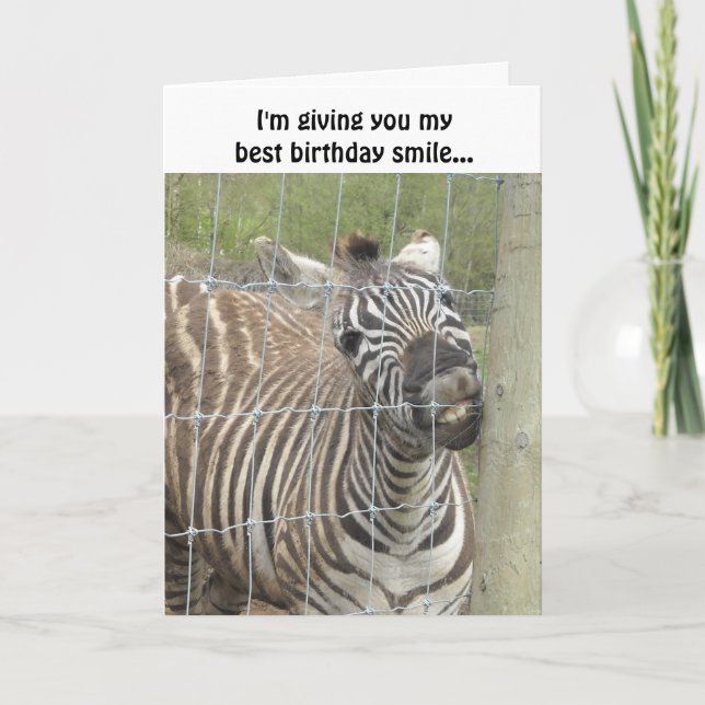 Smiling Zebra Birthday Card (Front)