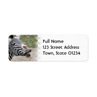 Smiling Zebra Mailing Label