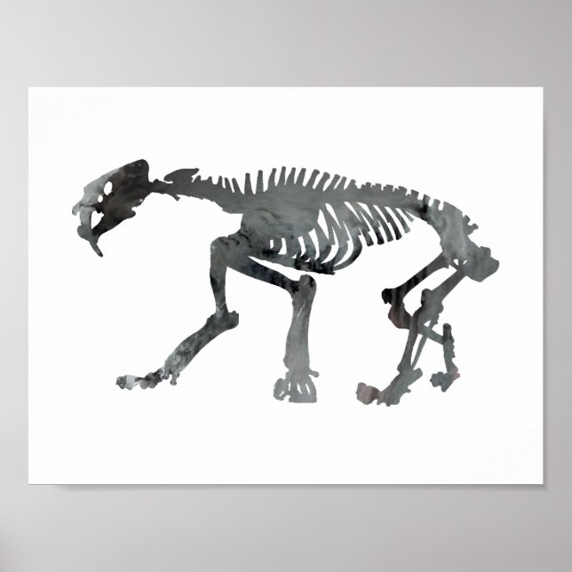 Smilodon skeleton poster (Front)