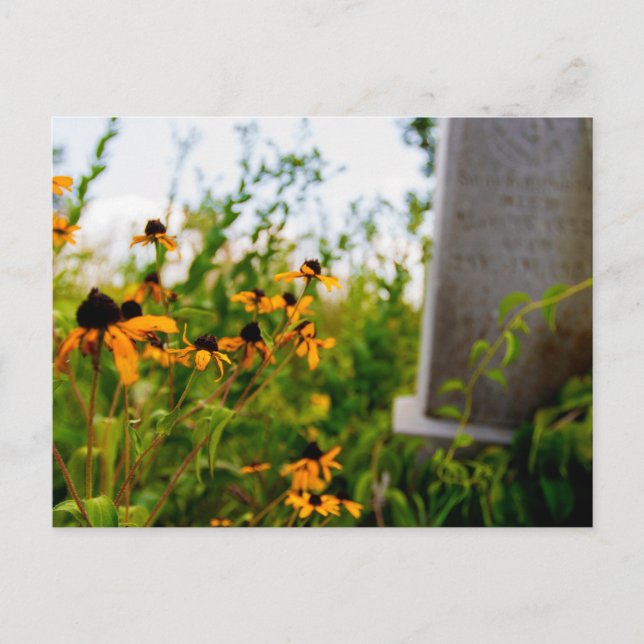Smith Cemetery Nature Preserve, Ohio Postcard (Front)