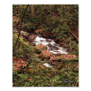 Smith Creek Photo Print