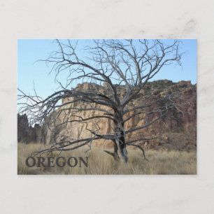 Smith Rock Rocks Postcard