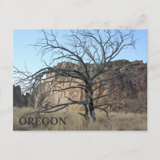 Smith Rock Rocks Postcard