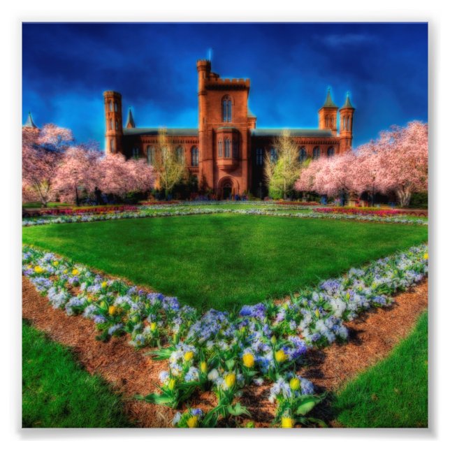 Smithsonian Castle Garden Cherry Blossoms Photo Print (Front)