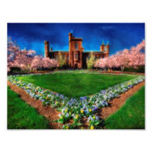 Smithsonian Castle Garden Cherry Blossoms Photo Print