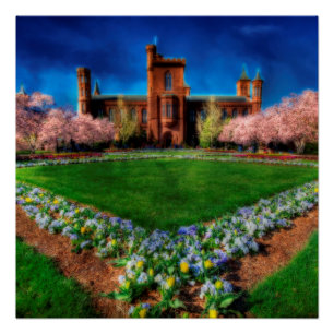Smithsonian Castle Garden Cherry Blossoms Poster