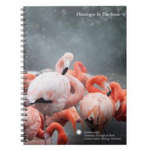 Smithsonian   Flamingos In The Snow Spiral Notebook