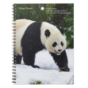 Smithsonian Giant Pandas In The Snow Spiral Notebook