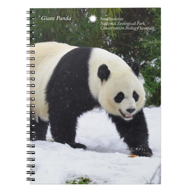 Smithsonian | Giant Pandas In The Snow Spiral Notebook (Front)