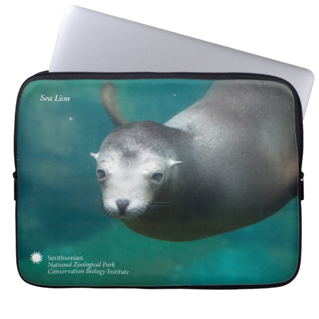 Smithsonian | Sea Lion Laptop Sleeve (Front)