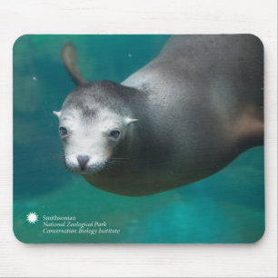 Smithsonian   Sea Lion Mouse Pad