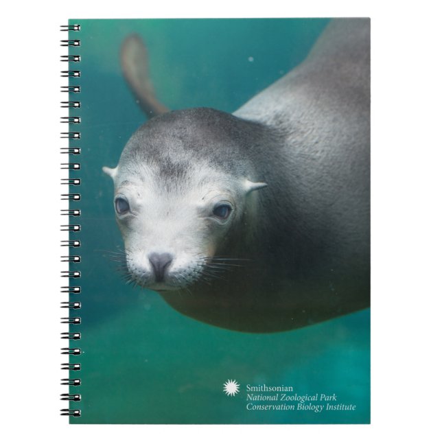 Smithsonian | Sea Lion Notebook (Front)