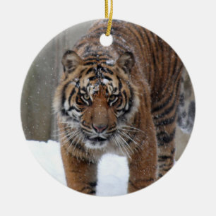 Smithsonian   Sumatran Tiger Damai Ceramic Tree Decoration