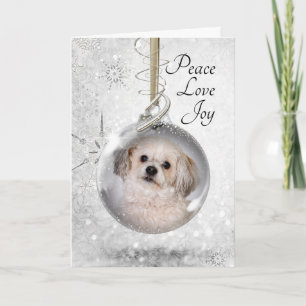 Smitty Ornament Holiday Card