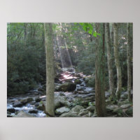 Smokey Mountain Stream