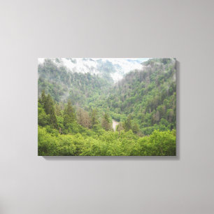 Smokey Mountains Canvas Print