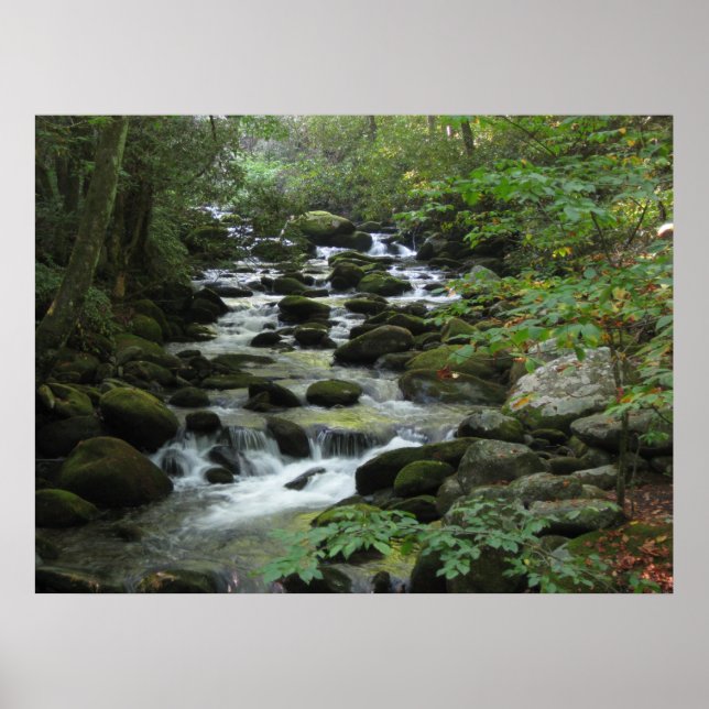 Smokey Mountains Poster (Front)