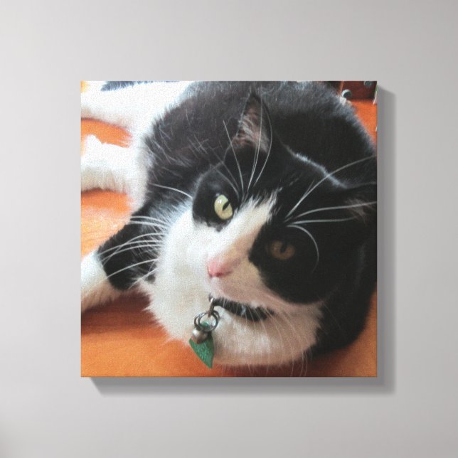 Smokey The Cat Canvas Print (Front)