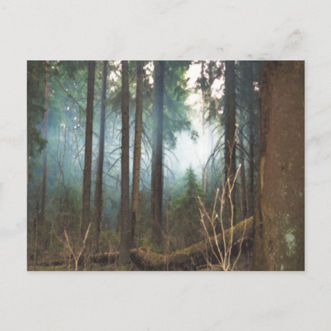 Smokey woods postcard (Front)