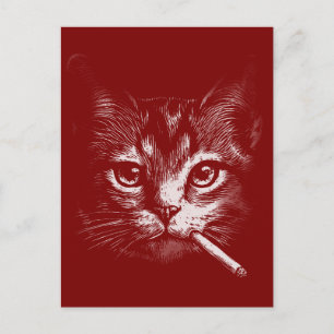 Smoking Cat Funny Postcard