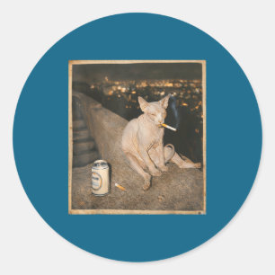 Smoking Sphynx Cat Meme Funny Classic Round Sticker